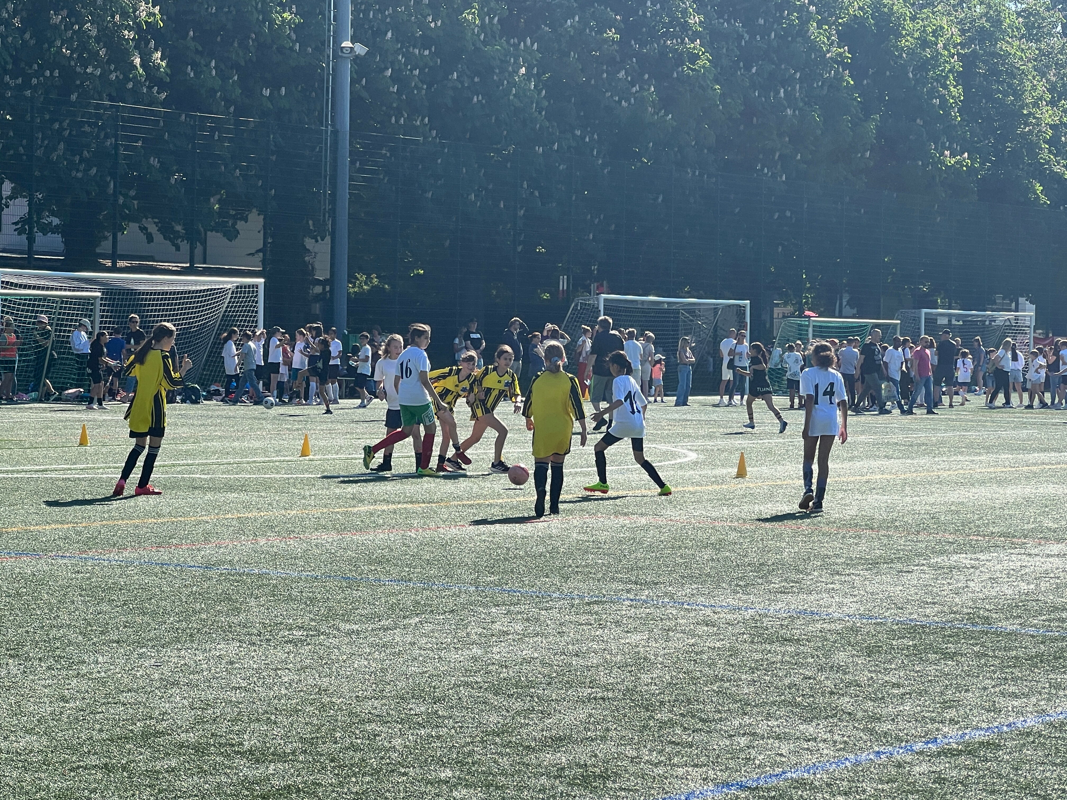 IMG_6644_2.JPG