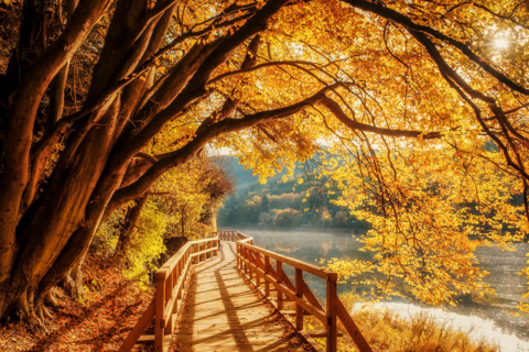 Willkommen zurück nach den Herbstferien