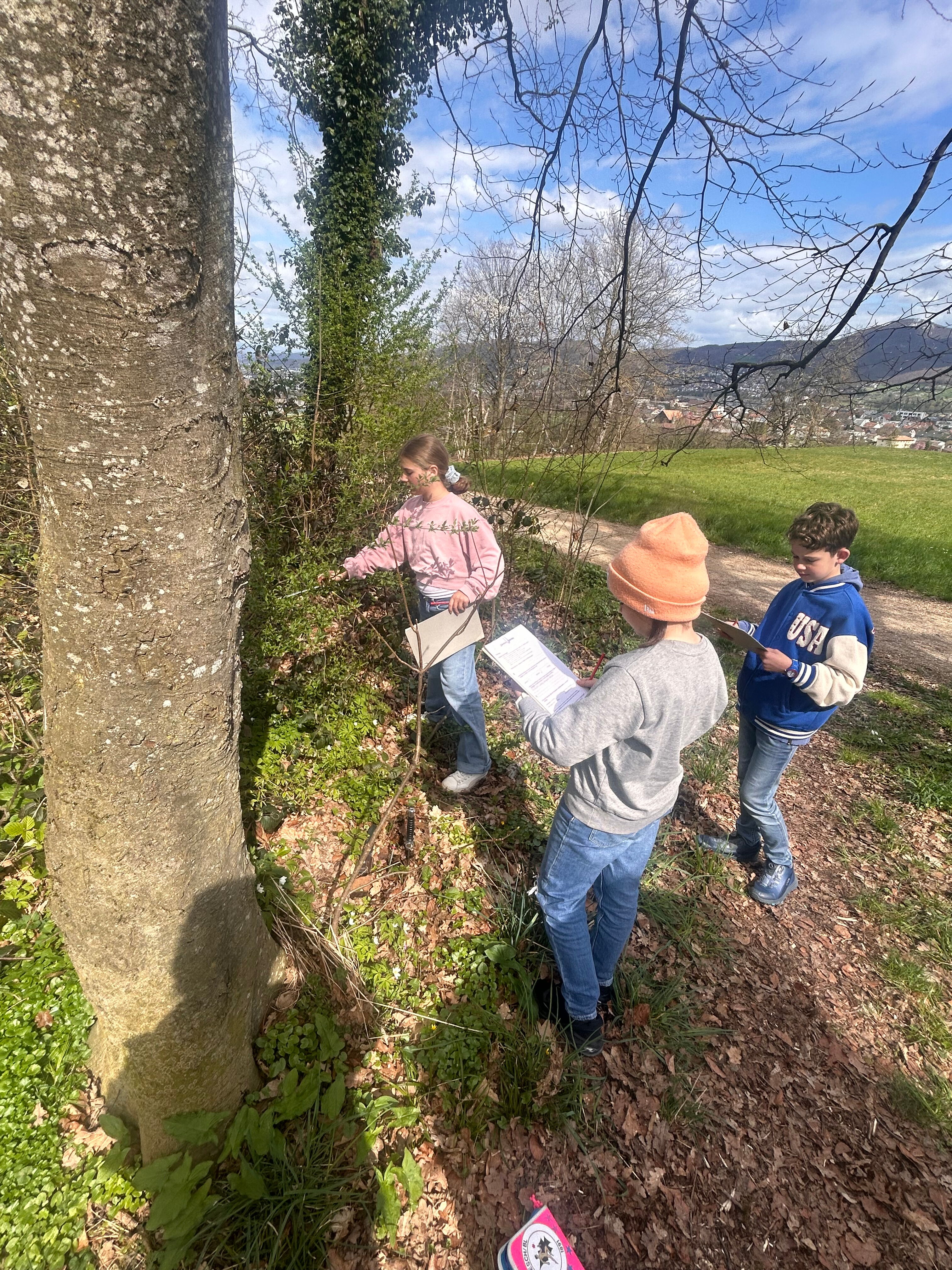 image_E2EF6188-9813-4520-AEA7-117B1CCF9751_1743521350.jpeg