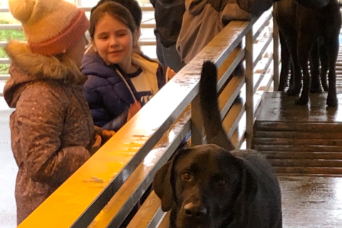 Die 4b in der Blindenhundeschule