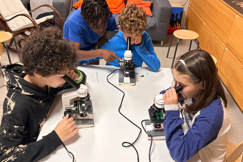 Klasse 6b: Mikroskopieren