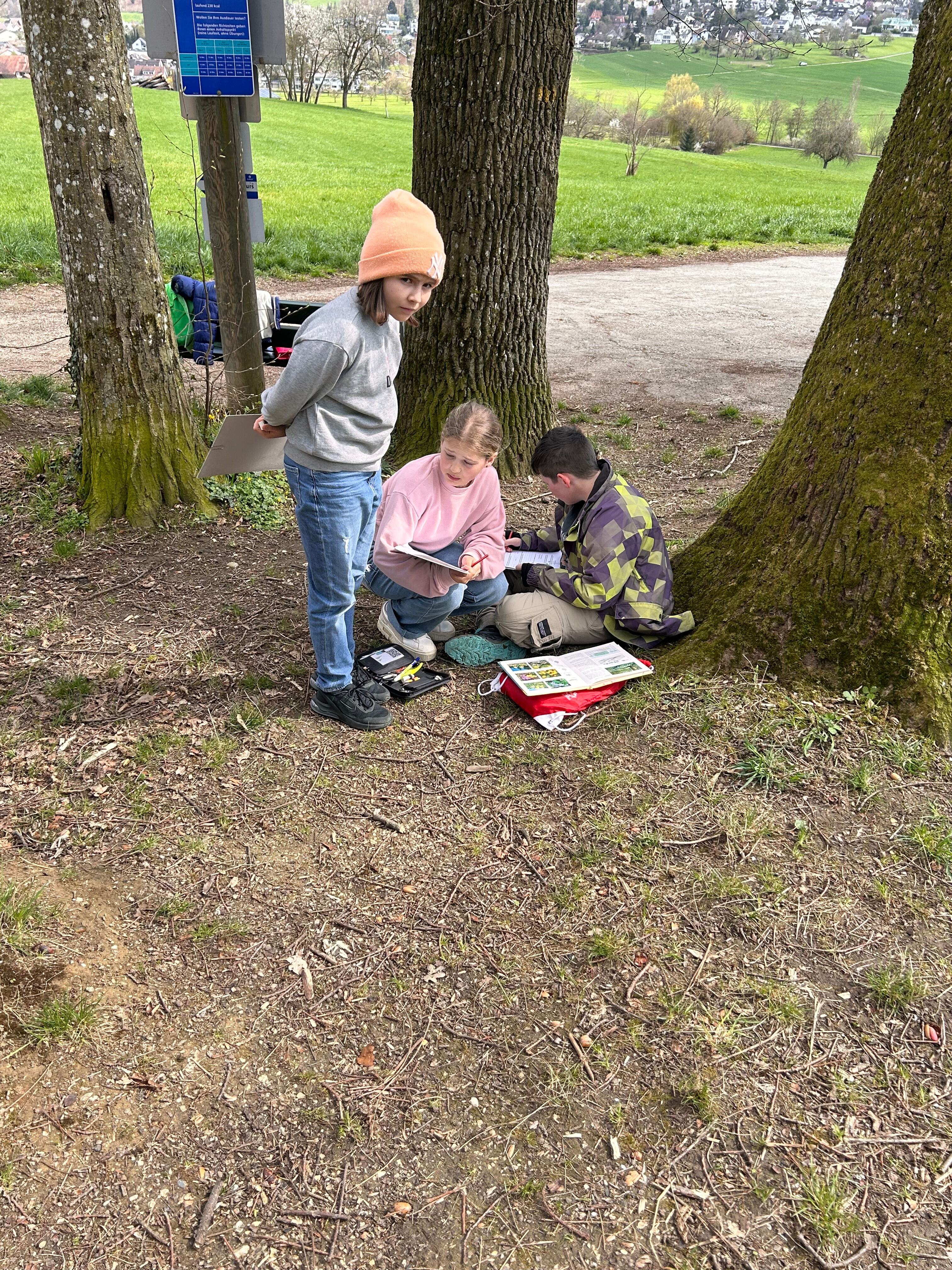 image_90AC5C22-E577-4A12-9C00-0D473D3EEEF5_1743521349.jpeg