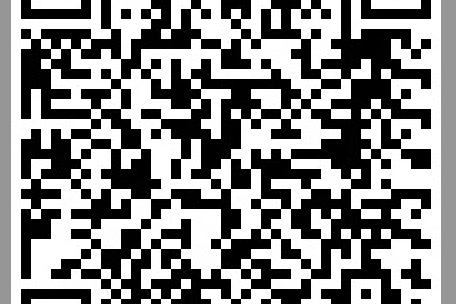 Piratenfieber bei der 1B