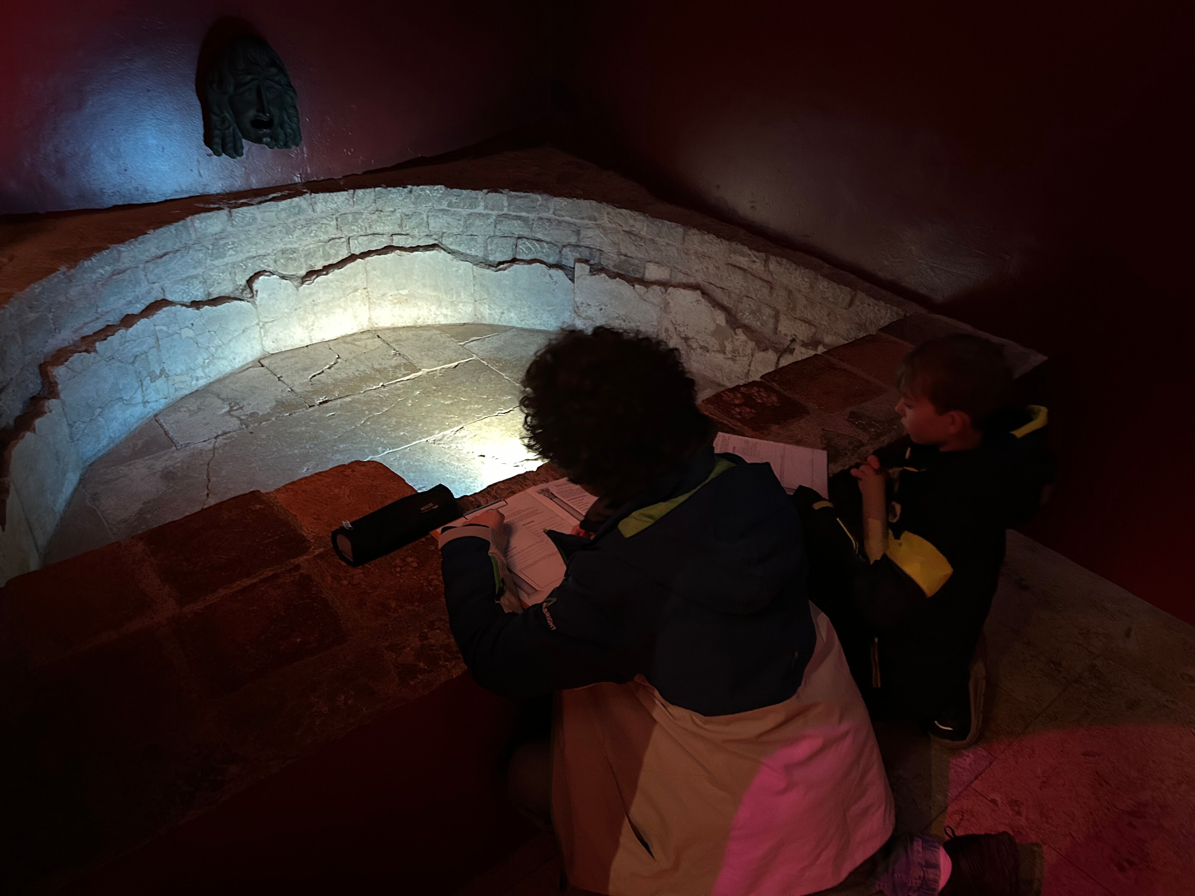 image_010C1042-31B0-4F37-913C-B4B8E333214B_1739721555.jpeg