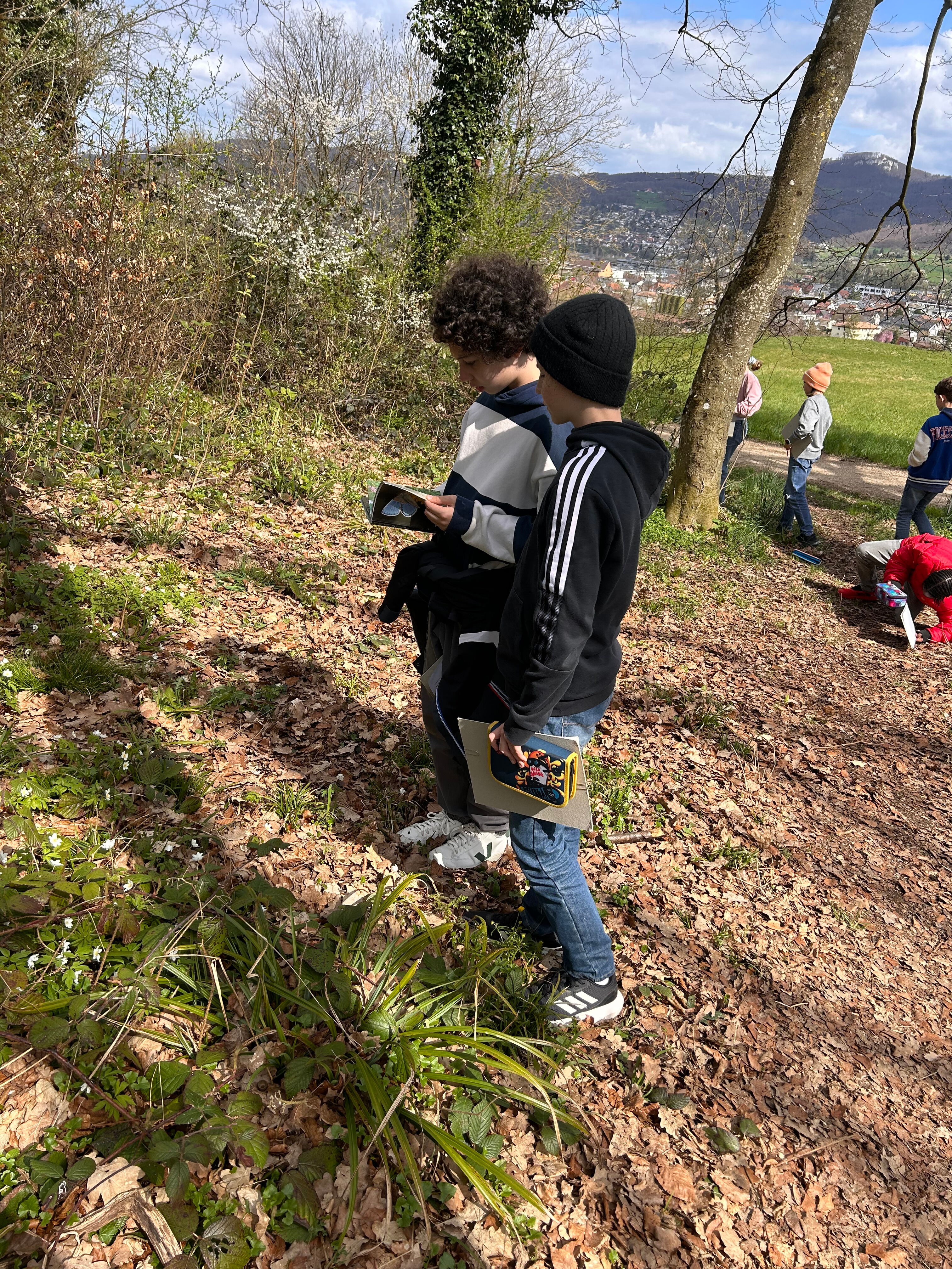 image_6E24E4F4-0327-4542-8D5A-A262CB0FD061_1743521350.jpeg
