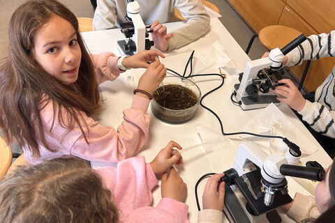 Die Klasse 6b sucht und findet Einzeller