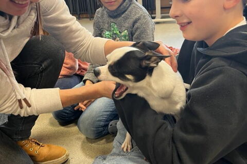 Besuch von Rocket in der 4a