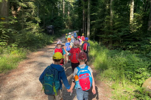 Schulreise: 1 Klasse